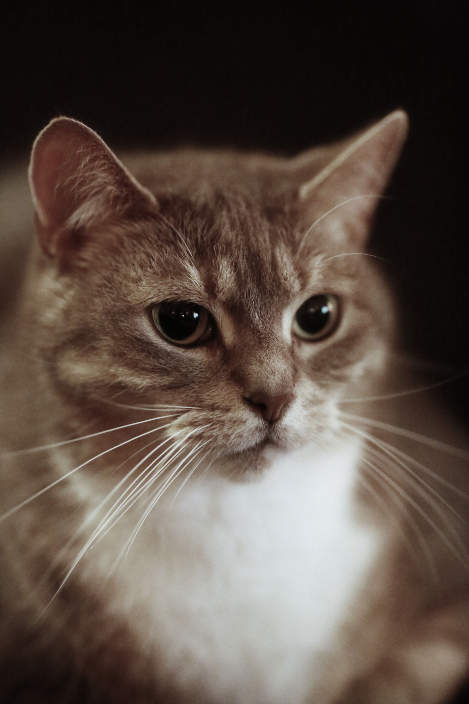 NM_2013-09-14_22-01-21__IMG_12 14/09/13 22:01:21